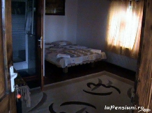 Pensiunea Zamolxe - accommodation in  Hateg Country (08)