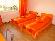 Pensiunea Gheorghita - accommodation in  Hateg Country (03)