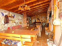 Pensiunea Flori - accommodation in  Hateg Country (07)