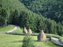 Conacul Boieresc - cazare Rucar - Bran, Moeciu, Bran (28)