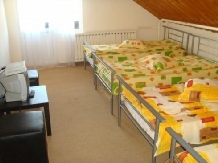 Pensiunea Alexia - accommodation in  Hateg Country, Transalpina (02)