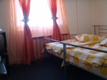 Pensiunea Alexia - accommodation in  Hateg Country, Transalpina (06)