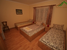 Pensiunea Andreea - accommodation in  Apuseni Mountains (02)