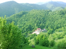 Pensiunea Dolvas - accommodation in  Apuseni Mountains (11)