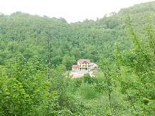 Pensiunea Dolvas - accommodation in  Apuseni Mountains (16)