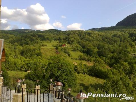 Pensiunea Dolvas - accommodation in  Apuseni Mountains (Surrounding)