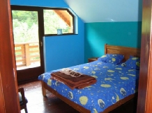 Casa de vacanta Maer - accommodation in  Hateg Country (16)