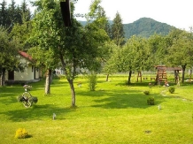 Pensiunea Mili - accommodation in  Hateg Country (12)