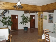Vila Sucu - accommodation in  Hateg Country (05)