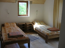 Vila Sucu - accommodation in  Hateg Country (16)