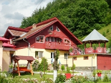 Pensiunea Mioara - accommodation in  Buzau Valley (06)