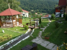 Pensiunea Cara - accommodation in  Hateg Country (04)