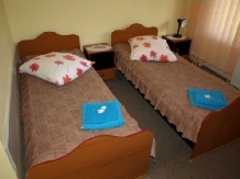 Pensiunea Cara - accommodation in  Hateg Country (15)