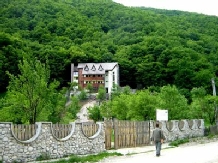 LapePensiunea Ramet - accommodation in  Apuseni Mountains (19)