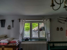Pensiunea Iedera - accommodation in  Apuseni Mountains, Transalpina (16)
