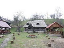 Pensiunea Rustic - accommodation in  Maramures Country (10)