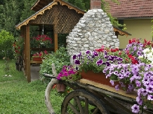 Pensiunea Aurora - accommodation in  Apuseni Mountains, Motilor Country, Arieseni (19)
