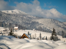 Pensiunea Iara - accommodation in  Apuseni Mountains, Motilor Country, Arieseni (04)