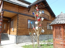 Pensiunea Teleptean - accommodation in  Maramures Country (01)