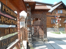 Pensiunea Teleptean - accommodation in  Maramures Country (02)