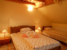 Pensiunea Teleptean - accommodation in  Maramures Country (11)