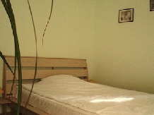 Pensiunea Cochet - accommodation in  Banat (12)