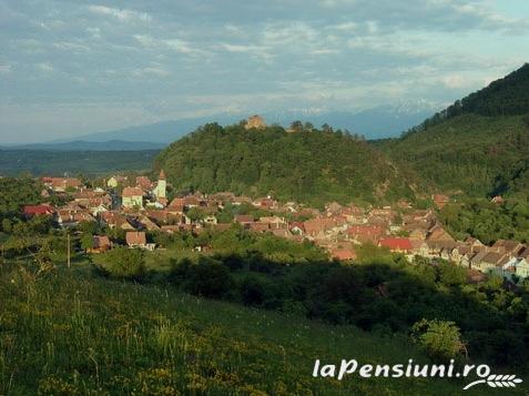 Pensiunea Ela - accommodation in  Transylvania (Surrounding)