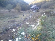 Cabana Bulzureana - alloggio in  Apuseni, Valea Draganului (14)
