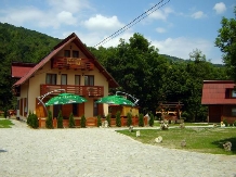 Pensiunea Andreea - alloggio in  Apuseni, Valea Draganului (01)