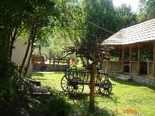 Pensiunea Andreea - alloggio in  Apuseni, Valea Draganului (05)
