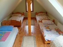 Pensiunea Andreea - accommodation in  Apuseni Mountains, Valea Draganului (13)