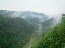 Pensiunea Andreea - accommodation in  Apuseni Mountains, Valea Draganului (18)
