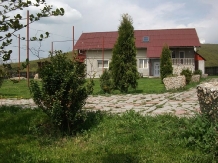 Casa Neagu - accommodation in  Harghita Covasna (12)