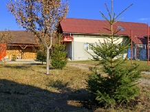 Casa Neagu - accommodation in  Harghita Covasna (15)