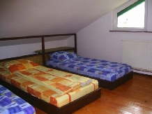 Vila Riciu - accommodation in  Prahova Valley (07)