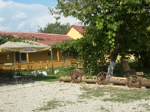 Pensiunea Magnolia - alloggio in  Nord Oltenia (07)
