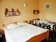 Pensiunea Gentiana - accommodation in  Harghita Covasna, Lacu Rosu (27)