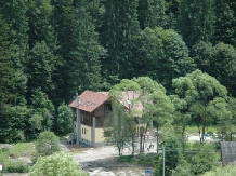 Pensiunea Denisa - accommodation in  Transylvania (23)