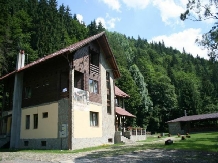 Pensiunea Denisa - accommodation in  Transylvania (25)