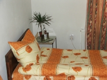 Pensiunea Ilyes - accommodation in  Harghita Covasna (09)