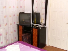Pensiunea Excelsior - accommodation in  Moldova (16)