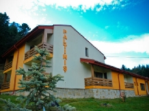 Pensiunea Paltinis - accommodation in  Slanic Moldova (01)
