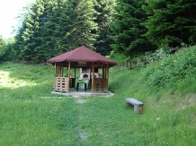 Pensiunea Paltinis - accommodation in  Slanic Moldova (08)
