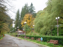 Pensiunea Casa Alba - accommodation in  Slanic Moldova (04)