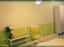 Pensiunea AntikHaus - accommodation in  Moldova (11)