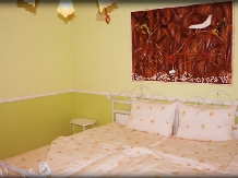 Pensiunea AntikHaus - accommodation in  Moldova (12)