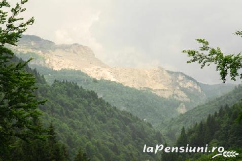 Pensiunea Radu lu Anghel - accommodation in  Muntenia (Surrounding)