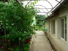 Pensiunea Garofita - accommodation in  Moldova (03)