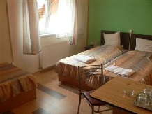 Pensiunea Garofita - accommodation in  Moldova (15)