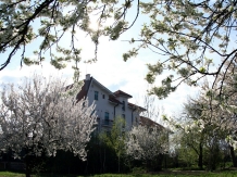 Casa Comana - alloggio in  Muntenia (23)